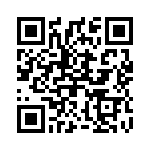 2904287 QRCode