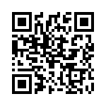 2905234 QRCode