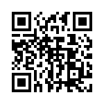 2907607 QRCode