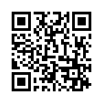 2907628 QRCode