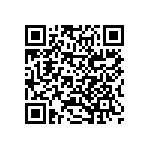 296401072013856 QRCode