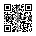 300100220111 QRCode