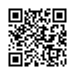 300100240049 QRCode