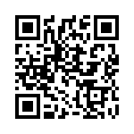 3004171 QRCode