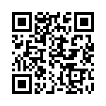 300X11399X QRCode