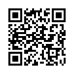 304025 QRCode