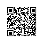 316-93-161-41-006000 QRCode