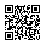 353NB3C491T QRCode