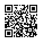 353NB3I447T QRCode