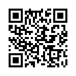 353NB5C320T QRCode