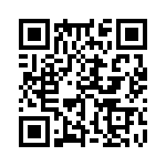 353SB3I384T QRCode