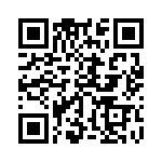 353TB3A307R QRCode