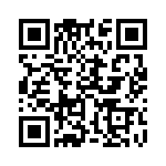 353TB5I307R QRCode