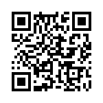 353VB5I480T QRCode