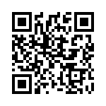 381N500 QRCode