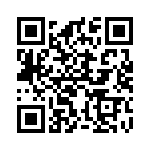 38BT-4-V-3-S QRCode