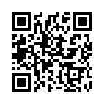 392510K QRCode