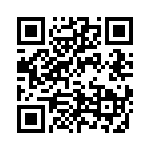 4-1393806-5 QRCode