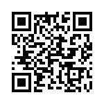 4-1734857-1 QRCode