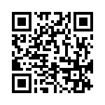 4-641313-3 QRCode