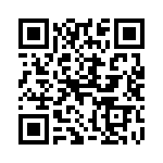 4000-02A19K999 QRCode