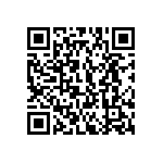 416-87-258-41-001101 QRCode