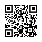 4181-3PG-300 QRCode