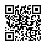 41JR33E QRCode