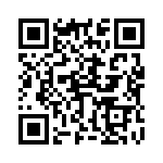 45153C QRCode