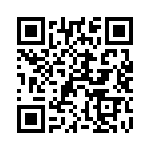 500R15N101GV4T QRCode