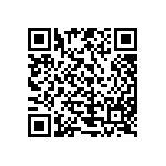 51700-10602406AALF QRCode