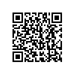 51740-10102401CA QRCode