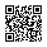 5176376-4 QRCode