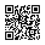 52961-1 QRCode