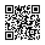 53D521F063GE6 QRCode