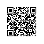 54121-407061300LF QRCode