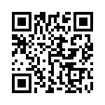 5530133810F QRCode