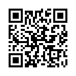 55GDMSJD20E QRCode