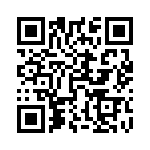 5613101070F QRCode