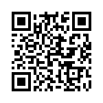 593282828013F QRCode