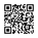 6-1393670-6 QRCode