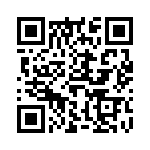 61301821121 QRCode