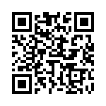 653E17506A3T QRCode