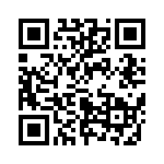 653P13306C2T QRCode