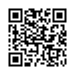 655E156H6A2T QRCode