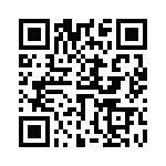 6561309303F QRCode