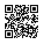 68513W3203L461 QRCode