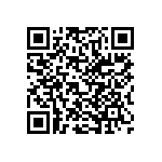 71V67602S133BGG QRCode