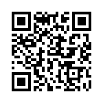 768161332G QRCode