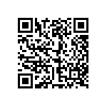 801-87-038-53-001101 QRCode